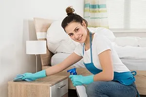 Deep Clean cleaning service preview